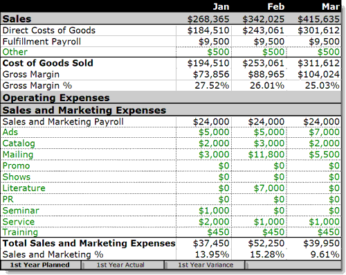 Profit and loss statement for business plan